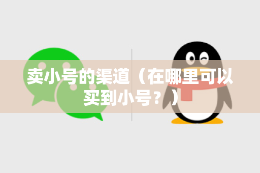 卖小号的渠道（在哪里可以买到小号？）